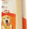 NylaBone Dura Chew Bot L -Speelgoed Winkel 0018214001041