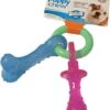 NylaBone Puppy Chew Teething Pacifer -Speelgoed Winkel 0018214820871