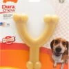 NylaBone Dura Chew Wishbone -Speelgoed Winkel 0018214999065