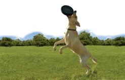 Kong Extreme Flyer -Speelgoed Winkel 0035585123189 1