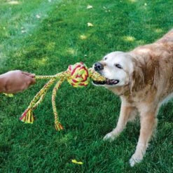 Kong Wubba Weaves Rope Assorti 13 Kong Wubba Weaves Rope Assorti -Speelgoed Winkel 0205783 met hond