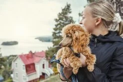 Hurtta Hondenlijn Standard Razzle Dazzle Blackberry -Speelgoed Winkel 0228716 met hond