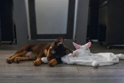 Beeztees Puppy Knuffeldoek Unicorn M -Speelgoed Winkel 0619491 sfeer1