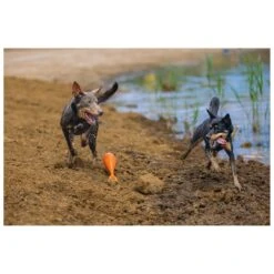 Beeztees Apportino Boei -Speelgoed Winkel 0625882 2