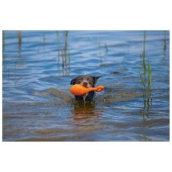 Beeztees Apportino Boei -Speelgoed Winkel 0625882 3