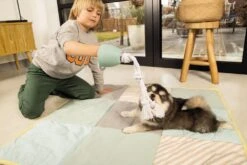 Beeztees Puppy Flostouw Pullina Groen -Speelgoed Winkel 0641270 sfeer2