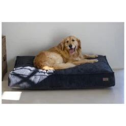 Designed By Lotte Hondenkussen Ribbed Antraciet -Speelgoed Winkel 0716258 3