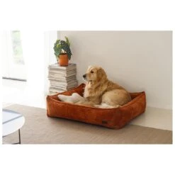 Designed By Lotte Hondenmand Ribbed Terracotta -Speelgoed Winkel 0716264 3