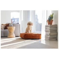 Designed By Lotte Hondenkussen Ribbed Terracotta -Speelgoed Winkel 0716267 2