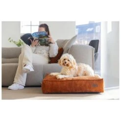 Designed By Lotte Hondenkussen Ribbed Terracotta -Speelgoed Winkel 0716267 3