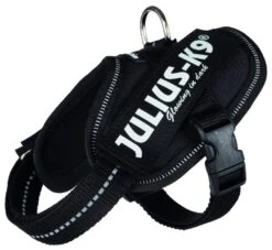 Julius K9 IDC Harness Black -Speelgoed Winkel 14811