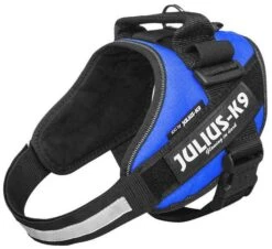 Julius K9 IDC Powerharness Blue -Speelgoed Winkel 16IDC B 1