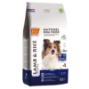 BF Petfood Hondenvoer Lam & Rijst 12,5 Kg 1 BF Petfood Hondenvoer Lam & Rijst 12,5 Kg -Speelgoed Winkel 1700 LAM RIJST 125kg 8714831000772