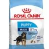 Royal Canin Hondenvoer Maxi Puppy 15 Kg 1 Royal Canin Hondenvoer Maxi Puppy 15 Kg -Speelgoed Winkel 3182550402163