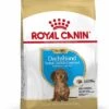 Royal Canin Hondenvoer Dachshund Puppy 1,5 Kg -Speelgoed Winkel 3182550722575