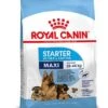 Royal Canin Hondenvoer Maxi Starter 15 Kg -Speelgoed Winkel 3182550778787