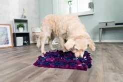 TRIXIE Dog Activity Snuffelmat 7 TRIXIE Dog Activity Snuffelmat -Speelgoed Winkel 32037 21