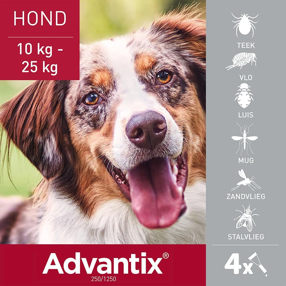 Advantix 250 4 Pipetten 4 Advantix 250 4 Pipetten - Afbeelding 2