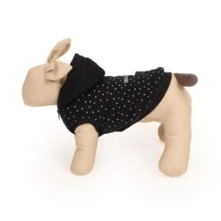 51 Degrees North Hondentrui Snow Much Fun