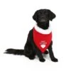 51 Degrees North Bandana Santa's Little Helper M -Speelgoed Winkel 51DN D 4