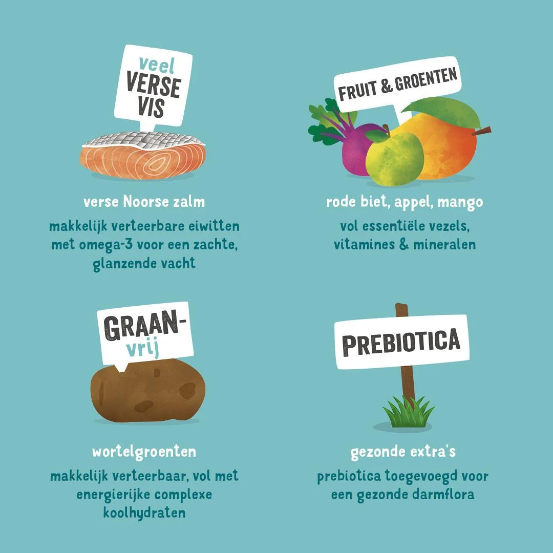 Edgard & Cooper Hondenvoer Adult Noorse Zalm 12 Kg 5 Edgard & Cooper Hondenvoer Adult Noorse Zalm 12 Kg - Afbeelding 3