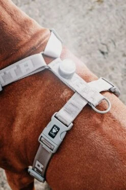 Hurtta Adventure Polar LED Lamp Shadow 9 Hurtta Adventure Polar LED Lamp Shadow -Speelgoed Winkel 6410329326912 b