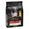 Pro Plan Hondenvoer Medium Adult Kip 3 Kg -Speelgoed Winkel 7613035114807
