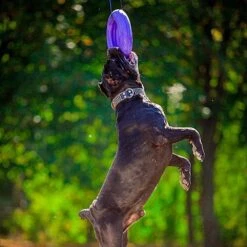 Ferplast Puller Maxi -Speelgoed Winkel 8010690183046 9.9