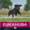 Eukanuba Hondenvoer Developing Junior Large Breed 12 Kg -Speelgoed Winkel 8710255146034