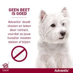 Advantix 250 4 Pipetten 9 Advantix 250 4 Pipetten -Speelgoed Winkel Advantix geenbeetisgoed