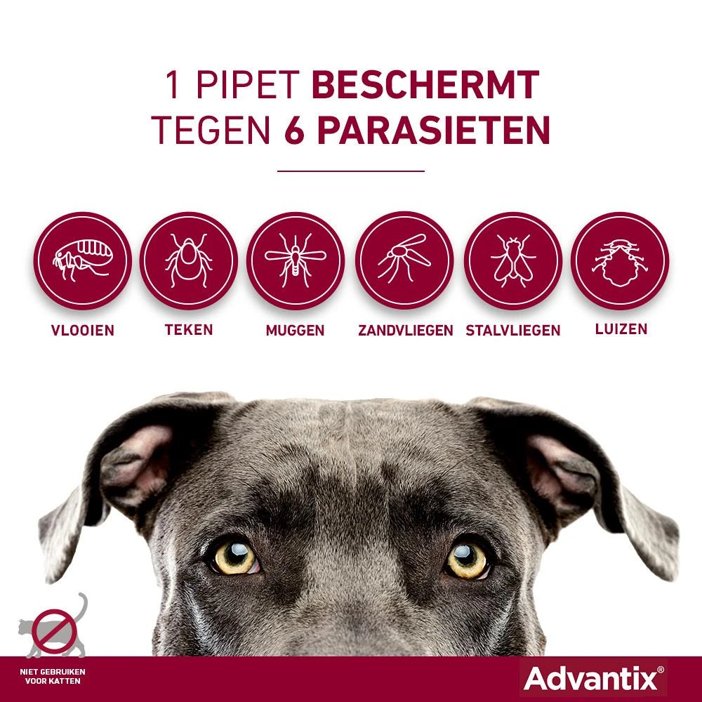 Advantix 250 4 Pipetten 5 Advantix 250 4 Pipetten - Afbeelding 3
