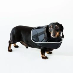 Comfy Cone Black -Speelgoed Winkel CCSL 3