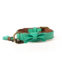 Dog With A Mission Halsband Boomer -Speelgoed Winkel DWAM FW2122 City BOOMER M1 2021