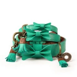 Dog With A Mission Halsband Boomer