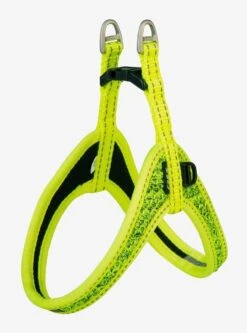 Rogz Beltz Utility Hondentuig Fast Fit Dayglo -Speelgoed Winkel RSJQ36HDET0