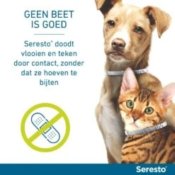Seresto Band Voor Grote Honden -Speelgoed Winkel Seresto doodt door contact