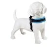Tre Ponti Hondentuig Mesh Fibbia Reflective Verstelbaar Lichtblauw -Speelgoed Winkel blauw licht hond