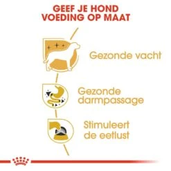 Royal Canin Hondenvoer Chihuahua Adult 12 X 85 Gr -Speelgoed Winkel royal canin chihuahua adult natvoer volwassen hond chihuahua vanaf 8 maanden hero usp