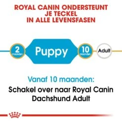 Royal Canin Hondenvoer Dachshund Puppy 1,5 Kg -Speelgoed Winkel royal canin dachshund junior pup hond teckel hero image 9