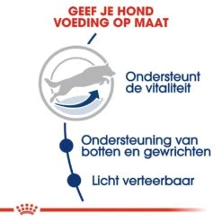 Royal Canin Hondenvoer Maxi Adult 5+ 15 Kg 8 Royal Canin Hondenvoer Maxi Adult 5+ 15 Kg -Speelgoed Winkel royal canin maxi adult 5plus volwassen hond grote hondenrassen vanaf 5 jaar hero usp