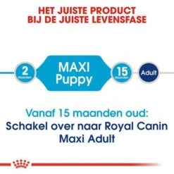 Royal Canin Hondenvoer Maxi Puppy 15 Kg 9 Royal Canin Hondenvoer Maxi Puppy 15 Kg -Speelgoed Winkel royal canin maxi puppy pup hond grote hondenrassen hero image 8
