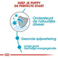 Royal Canin Hondenvoer Maxi Puppy 15 Kg 8 Royal Canin Hondenvoer Maxi Puppy 15 Kg -Speelgoed Winkel royal canin maxi puppy pup hond grote hondenrassen hero usp