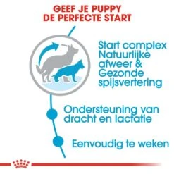 Royal Canin Hondenvoer Maxi Starter 15 Kg -Speelgoed Winkel royal canin maxi starter mother babydog pup hond moederhond hero usp