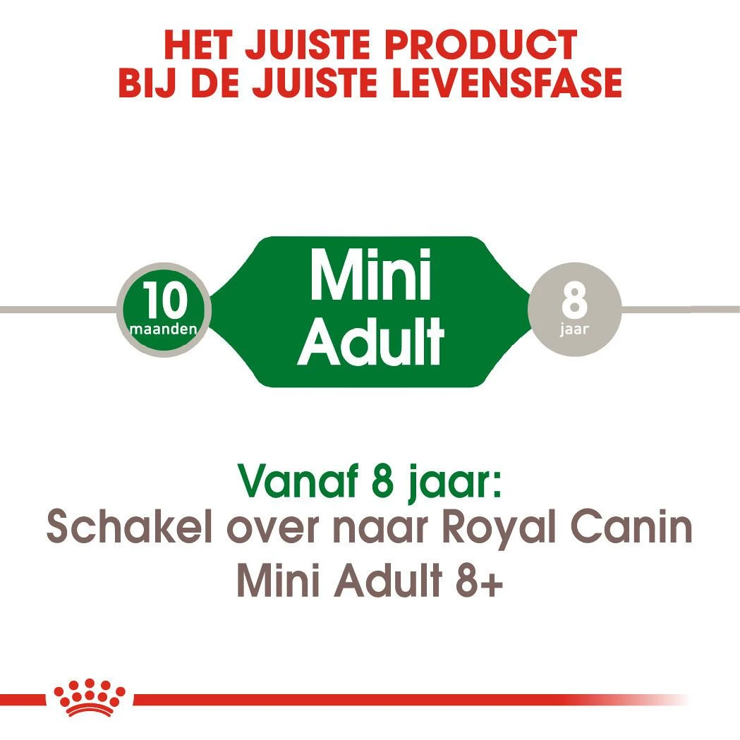 Royal Canin Hondenvoer Mini Adult 4 Kg 6 Royal Canin Hondenvoer Mini Adult 4 Kg - Afbeelding 4