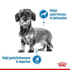 Royal Canin Hondenvoer Light Weight Care Mini 3 Kg -Speelgoed Winkel royal canin mini light weight care volwassen hond gezond gewicht kleine hondenrassen hero image 8