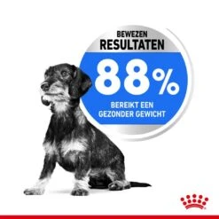 Royal Canin Hondenvoer Light Weight Care Mini 3 Kg -Speelgoed Winkel royal canin mini light weight care volwassen hond gezond gewicht kleine hondenrassen hero usp