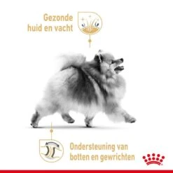 Royal Canin Hondenvoer Pomeranian Adult 1,5 Kg 7 Royal Canin Hondenvoer Pomeranian Adult 1,5 Kg -Speelgoed Winkel royal canin pomerian adult volwassen hond dwergkees vanaf 8 maanden hero usp