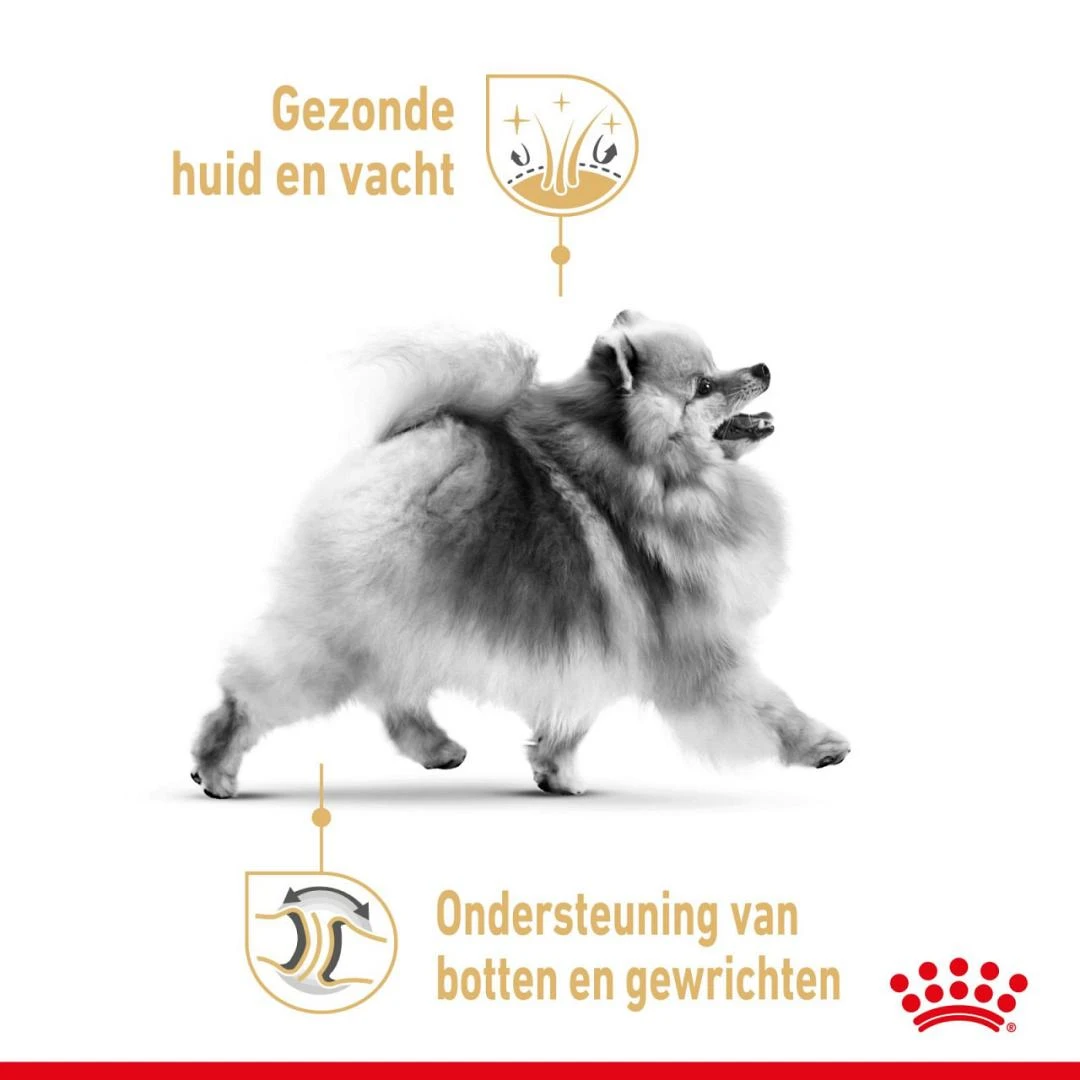 Royal Canin Hondenvoer Pomeranian Adult 1,5 Kg 5 Royal Canin Hondenvoer Pomeranian Adult 1,5 Kg - Afbeelding 3