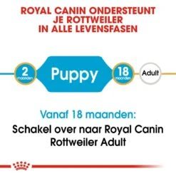 Royal Canin Hondenvoer Rottweiler Puppy 12 Kg -Speelgoed Winkel royal canin rottweiler junior pup hond rottweiler hero image 9