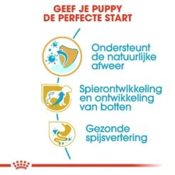 Royal Canin Hondenvoer Rottweiler Puppy 12 Kg -Speelgoed Winkel royal canin rottweiler junior pup hond rottweiler hero usp